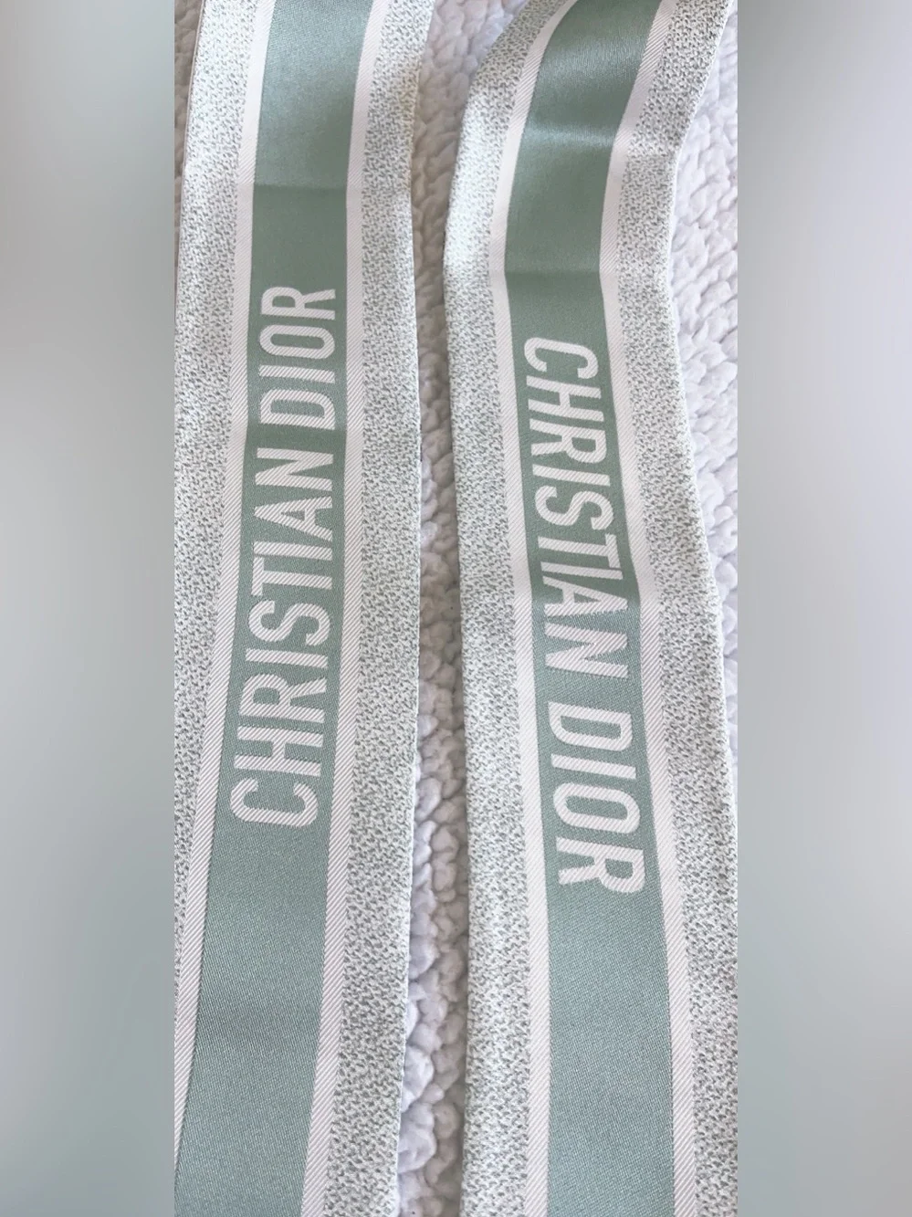 Dior Jardin D’hiver Mitzah Silk Scarf